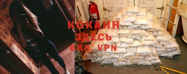 спайс Алзамай